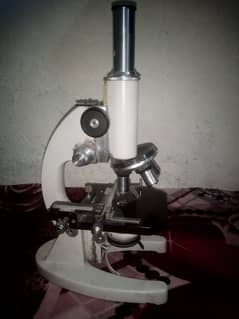 compound microscope