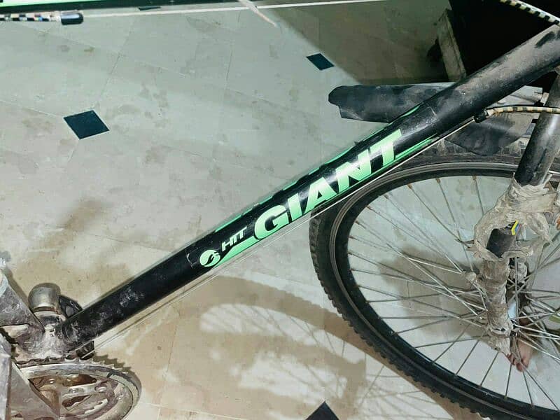 Bicycle Giant 1