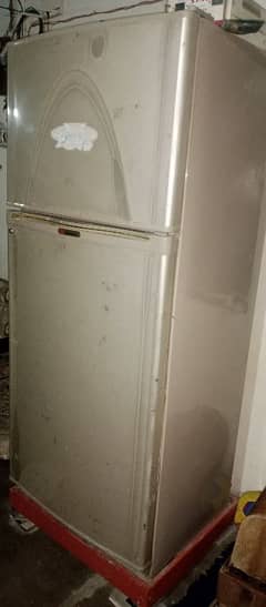 Jumbo Size Frige Dawalance