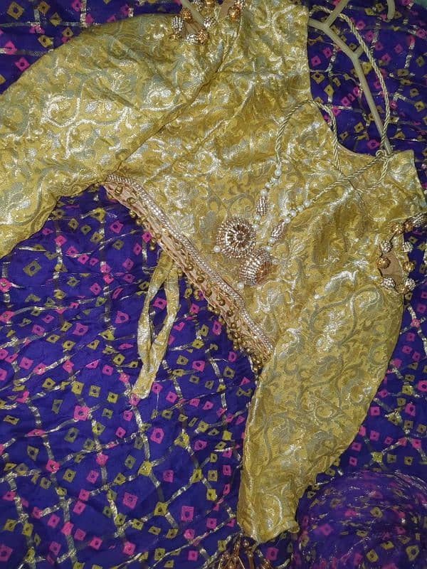 India tissue Lehenga 2