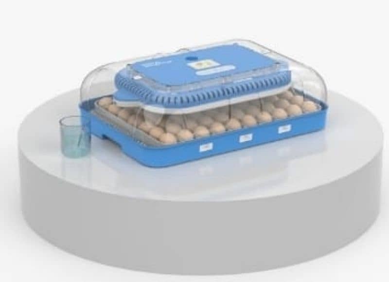 New models of birds eggs incubators available starting from 8 eggs 8