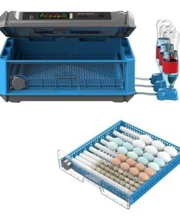 New models of birds eggs incubators available starting from 8 eggs 11