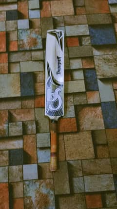 CA thunder hard ball bat 0