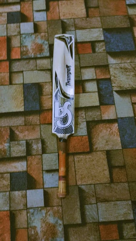 CA thunder hard ball bat 0