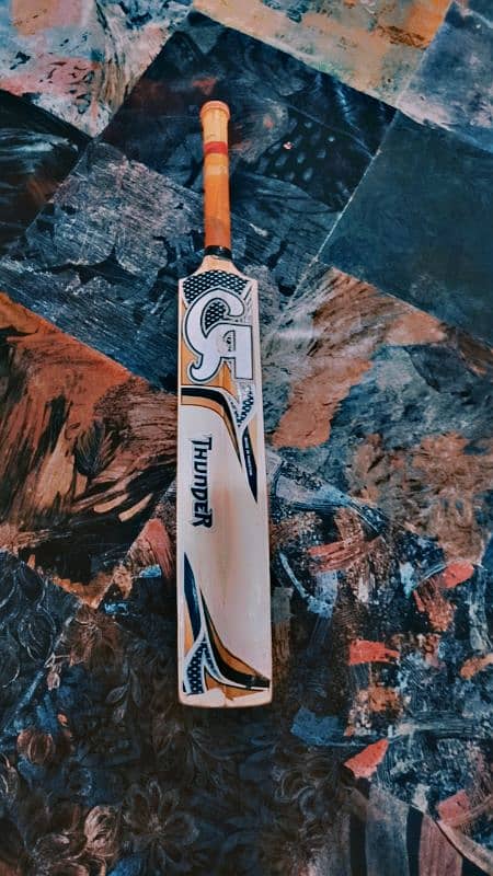 CA thunder hard ball bat 3