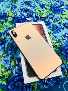 iPhone Xs Max PTA approved