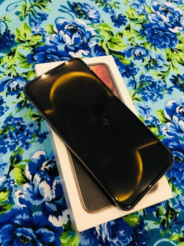 iPhone Xs Max PTA approved 1