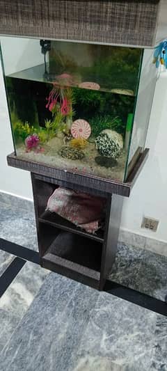 Aquarium with complete Kit without fishes