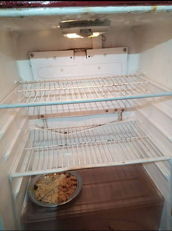 Home Freezer 3