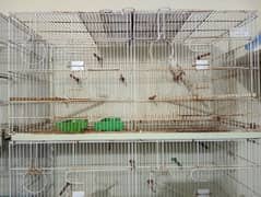 Foldable Master cage for  urgent Sale