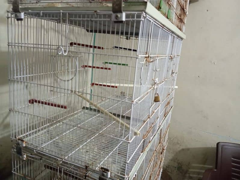 Foldable Master cage for  urgent Sale 3