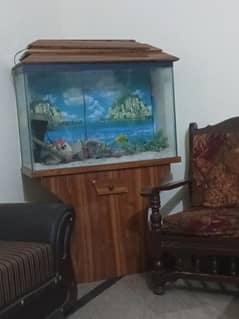 Fish aquarium