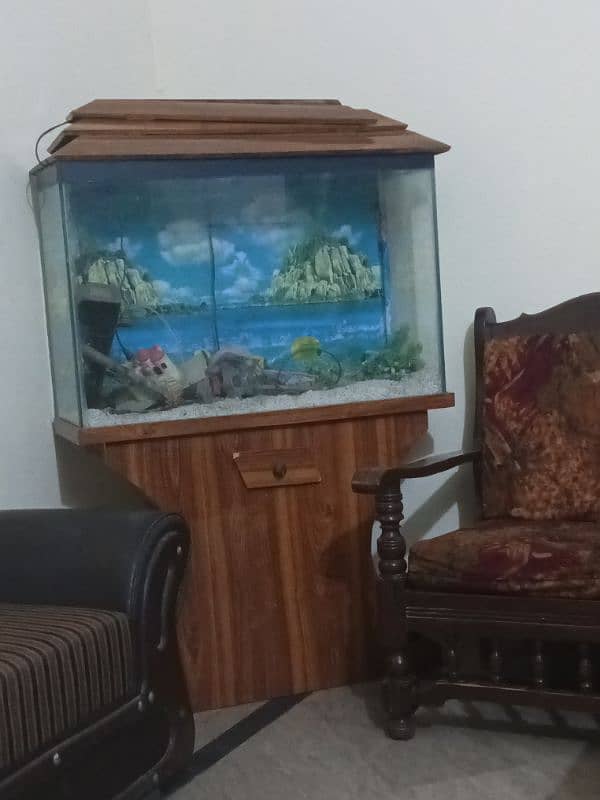 Fish aquarium 0