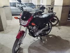 Suzuki GD 110S 2022