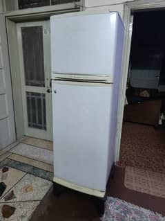 Fridge (good condition)