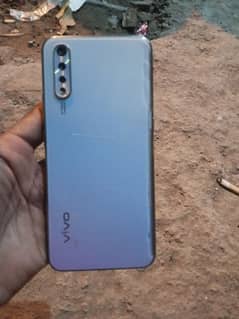 vivo