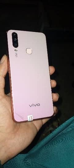 Vivo