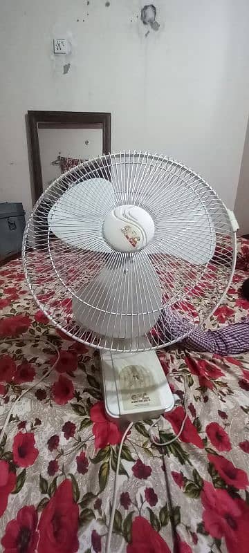 sale fan 1