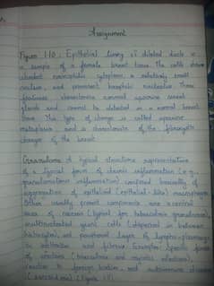 Handwritten Assignment Work 0