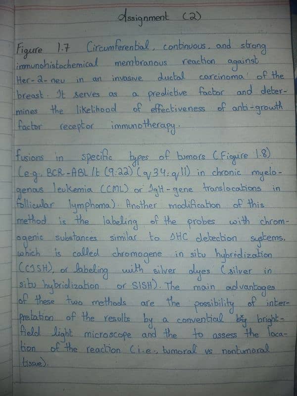 Handwritten Assignment Work 2