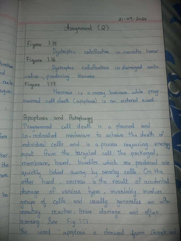 Handwritten Assignment Work 7