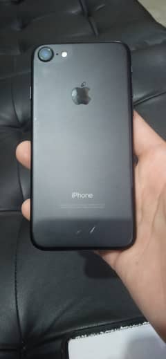 iphone7 (03195758616)