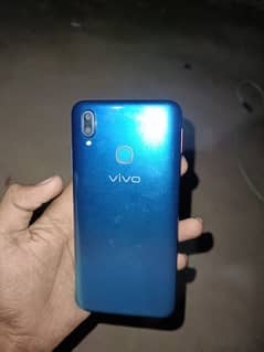 vivo