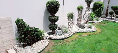 landscaping for house and calonyes