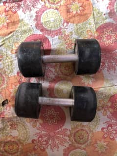 10 kg dumbbells pair