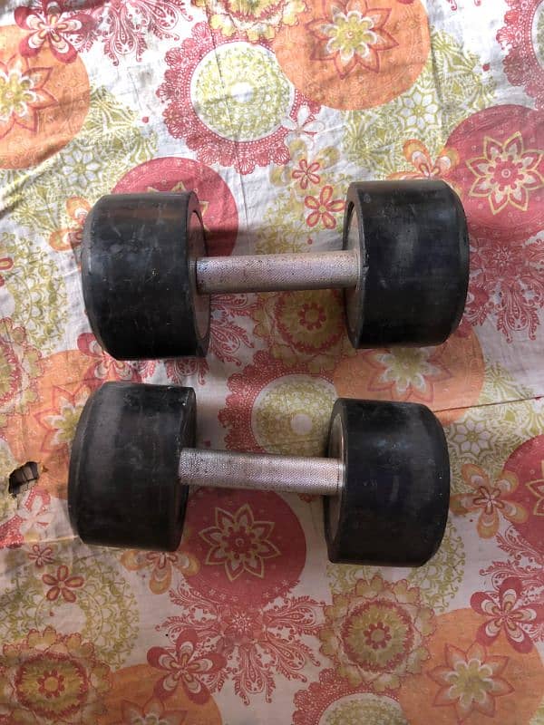 10 kg dumbbells pair 0