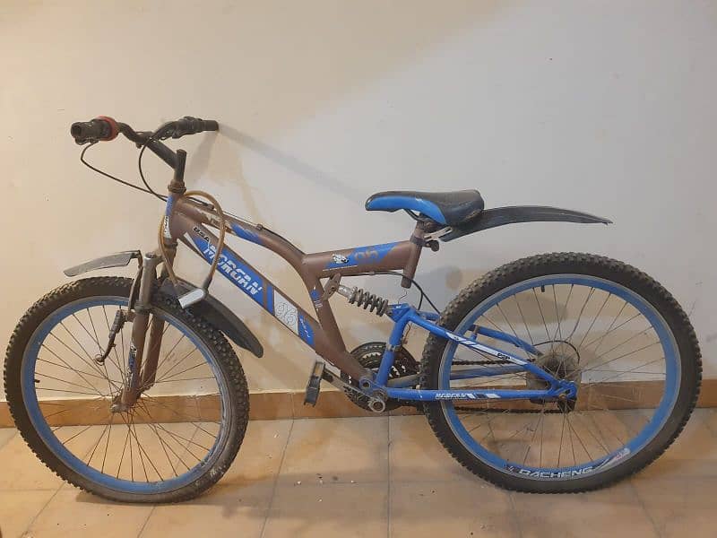 Cycle Full Size (blue & brown) 2