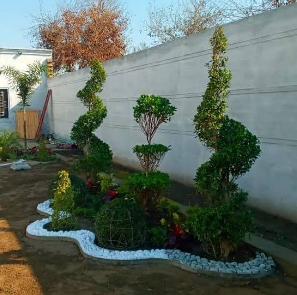 landscaping for house and calonyes 1