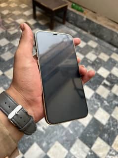 i phone 12 pro max