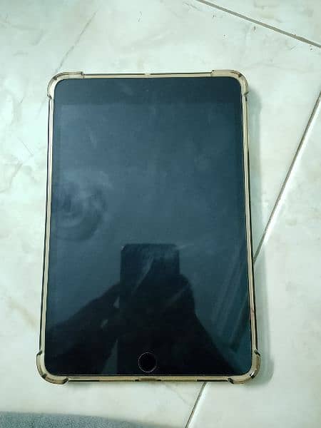 ipad mini4 16gb 20k 7