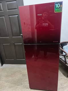 Haier HRF-336 referagrator Fridge New