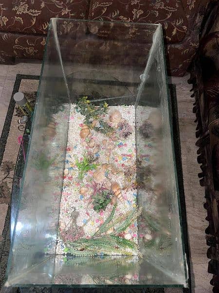 Fish aquarium 4