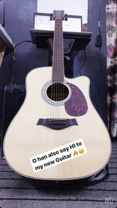 ibnez Original semi Acoustic Guitar