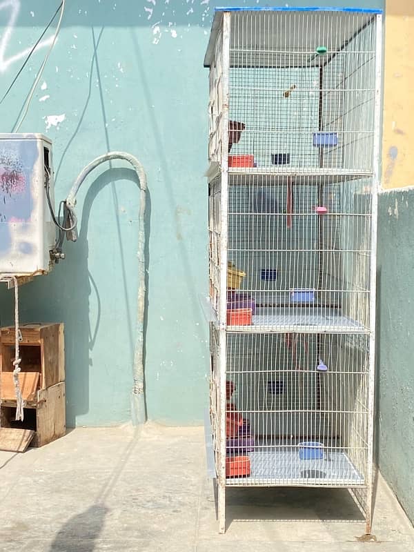 Bird cage for sale 3