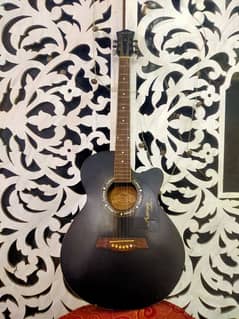 acoustic guitar with good sound