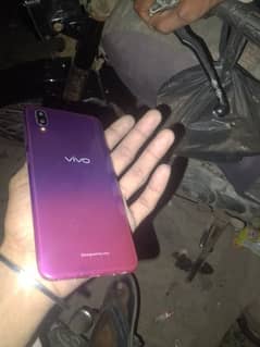 vivo