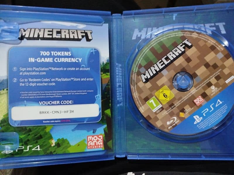 Minecraft VR compatible 1