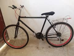 phonix bicycle 0