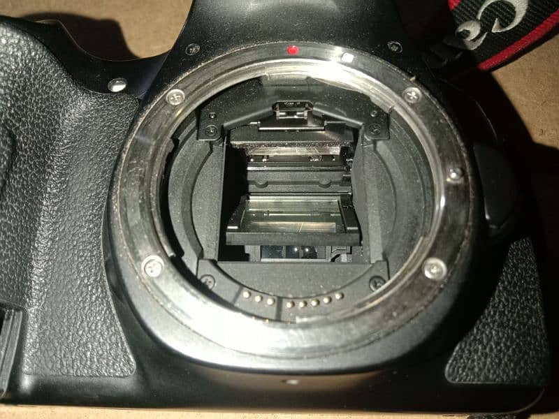 urgent sale DSLR 60D 7