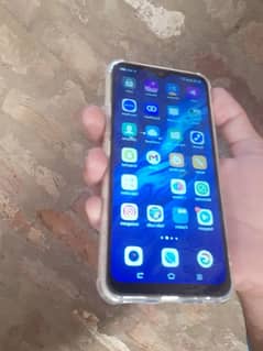 VIVO KIT