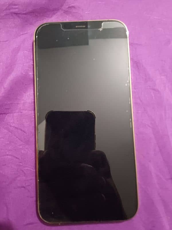 Apple Iphone 12 Pro Max (Faulty) 0