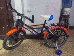 20 size important bicycle for sale