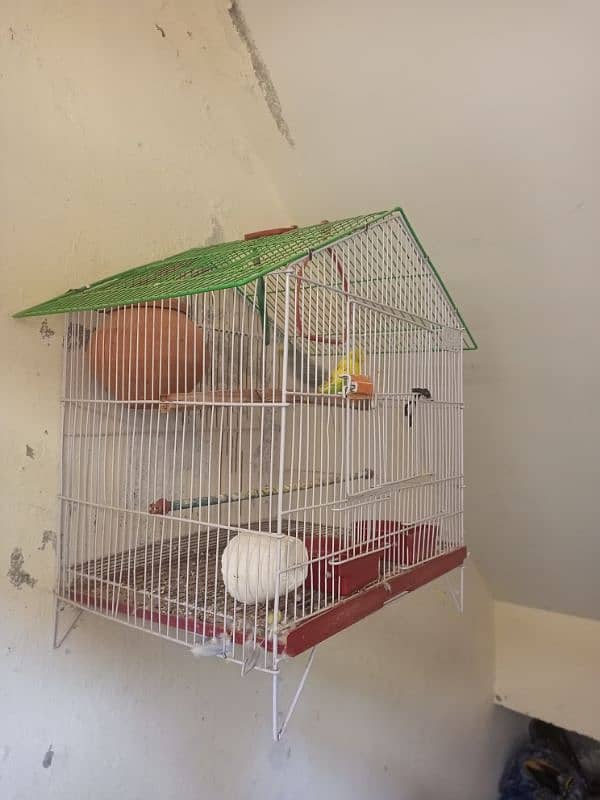 Australian parrots pair with fancy cage 2