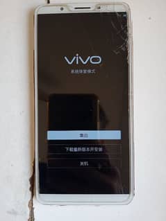 vivo