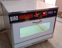 Brooder for parrot Chicks