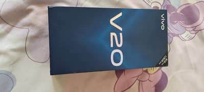 VIvo